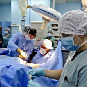 Las mejores escuelas de medicina en Nueva York