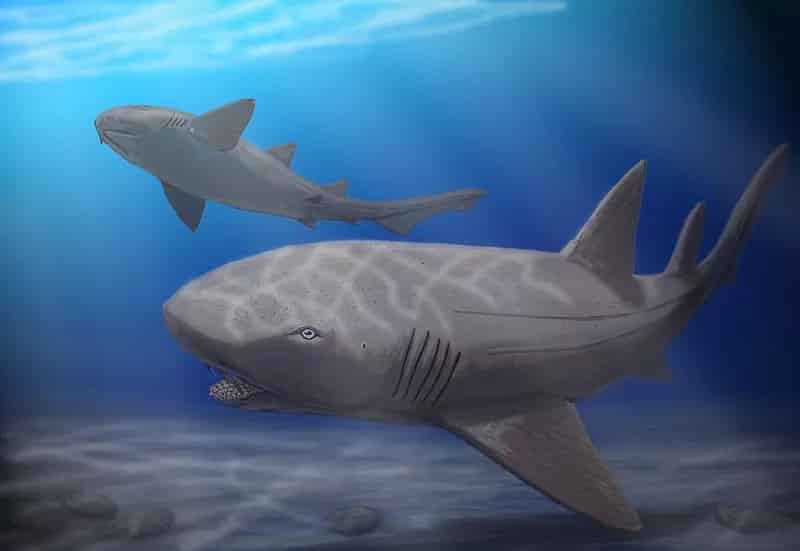 Tiburones prehistóricos