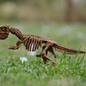 Dinosaurios y animales prehistóricos de Francia