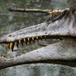 Los dinosaurios y animales prehistóricos de Alaska