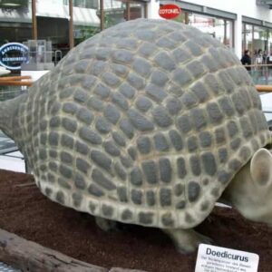 Doedicurus: el armadillo prehistórico gigante