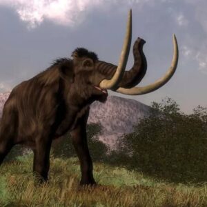 Mamuts y mastodontes: elefantes extintos antiguos