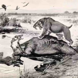 10 hechos sobre el lobo temible