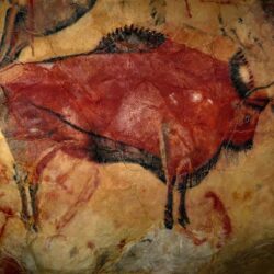 Imágenes y perfiles de mamíferos gigantes y megafauna