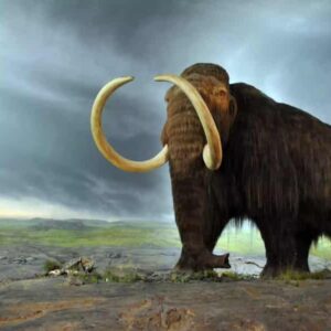 10 hechos sobre el mamut lanudo