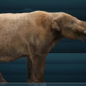 10 hechos sobre los mastodontes