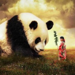 Datos del panda gigante