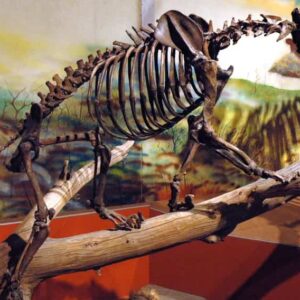 Vida prehistórica durante la época del Pleistoceno