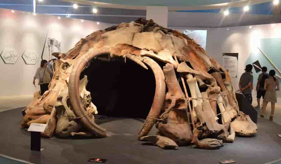 restos de mamut lanudo
