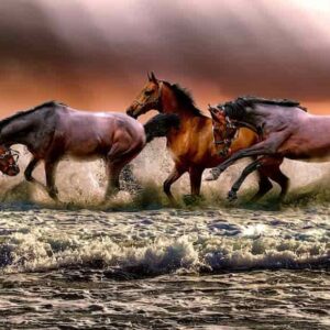 La domesticación y la historia de los caballos modernos